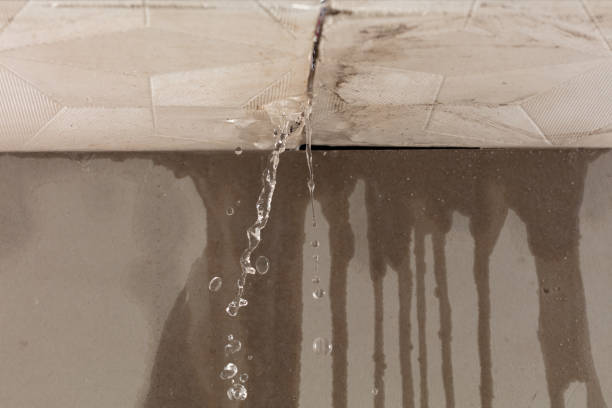 Professional Structural Drying technician working in Caro, MI